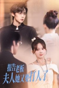 �����ϰ��������Ҫ������