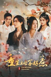 ������ĸ��������������