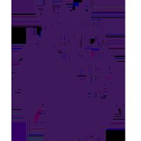 Ӣ�� ��˹��ά��vsŦ��˹����20250816